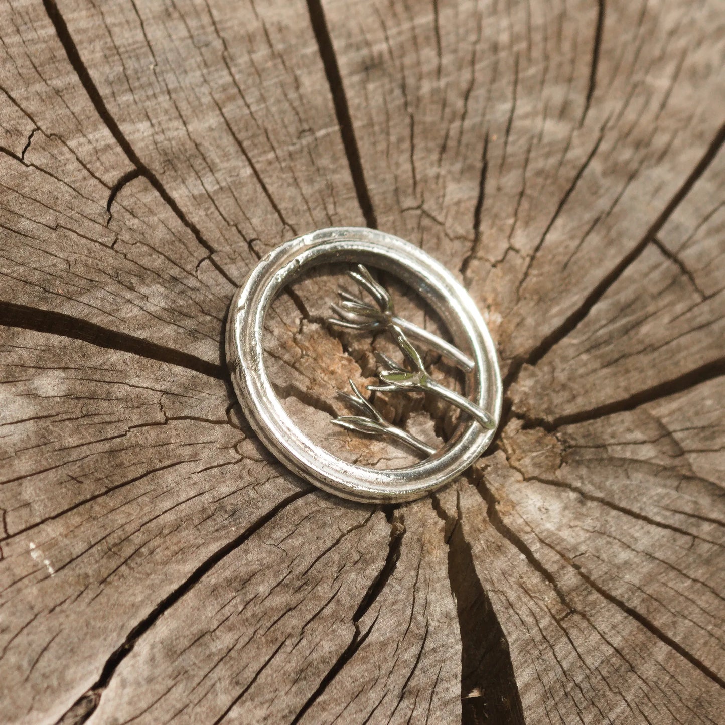 Chorioactis Geaster Mushroom Pendant in Sterling Silver