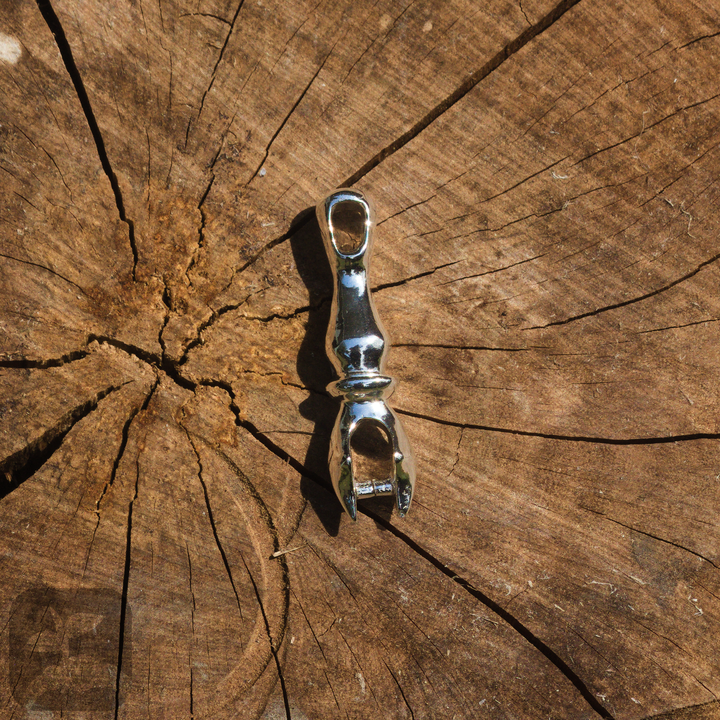 closeup of jewellery piece on the cross section of a brown log