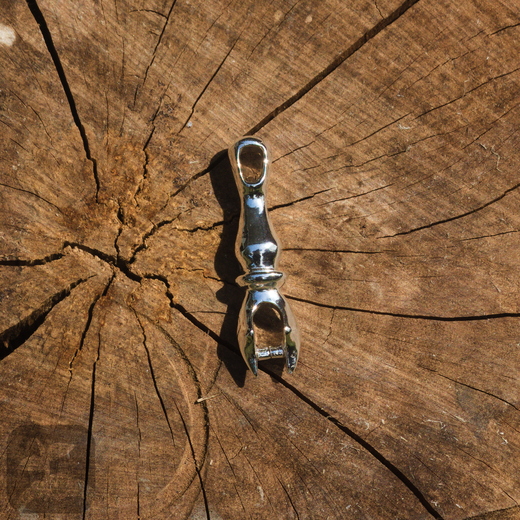 closeup of jewellery piece on the cross section of a brown log