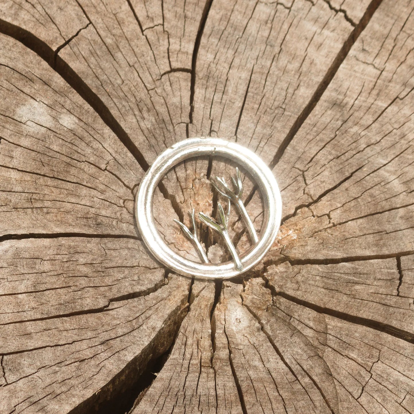 Chorioactis Geaster Mushroom Pendant in Sterling Silver